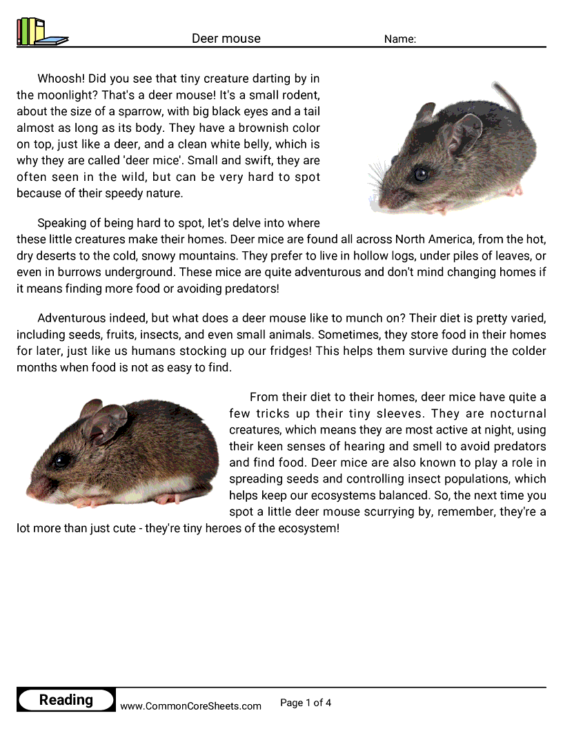 Reading Comprehension Mammals - deermouse worksheet