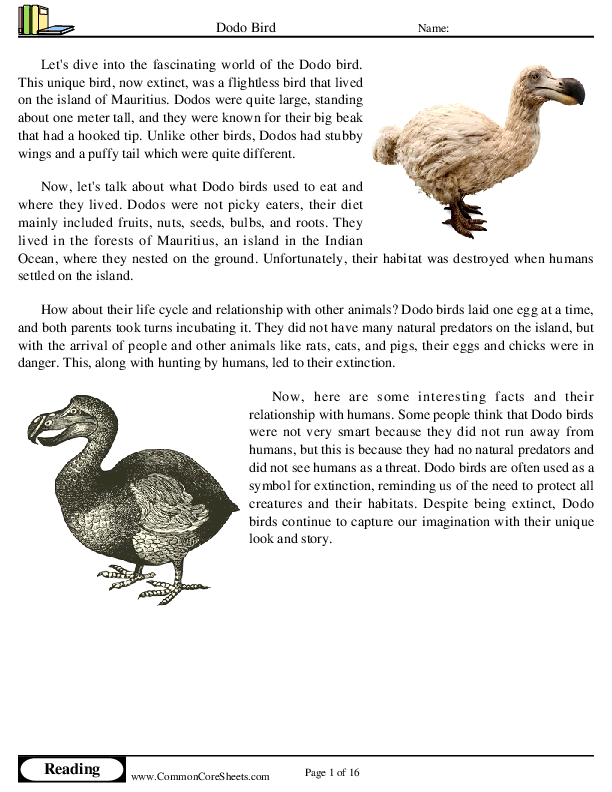  - dodo-bird worksheet