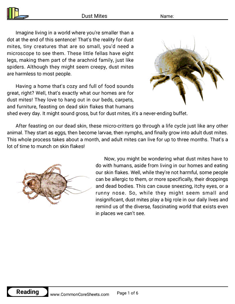 insects Worksheets - dust-mites worksheet