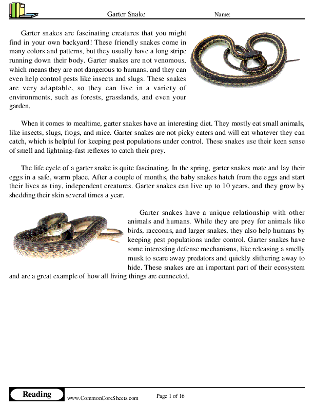  - garter-snake worksheet