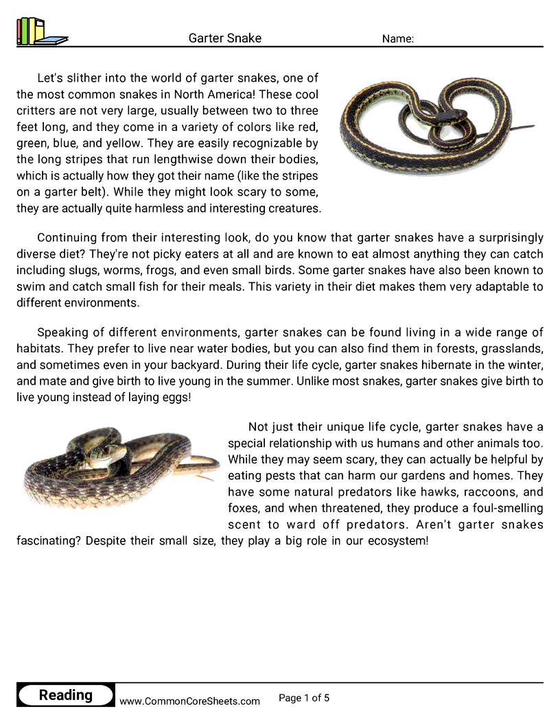  - garter-snake worksheet