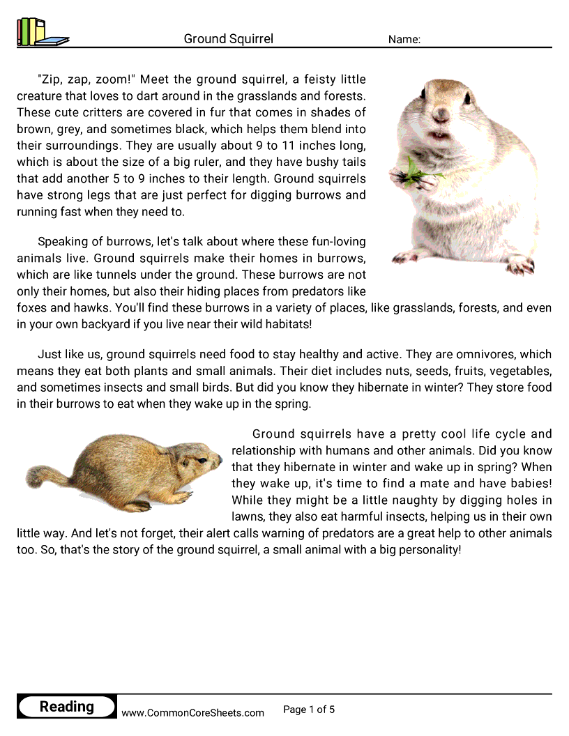 Reading Comprehension Mammals - ground-squirrel worksheet