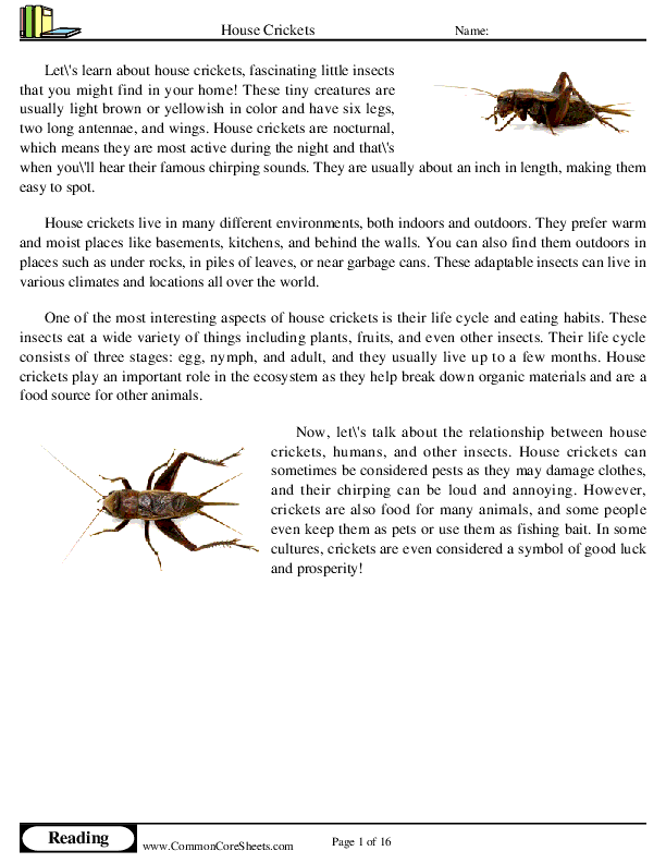  - house-crickets worksheet
