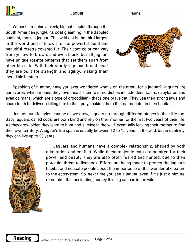 Reading Comprehension Mammals - jaguar worksheet