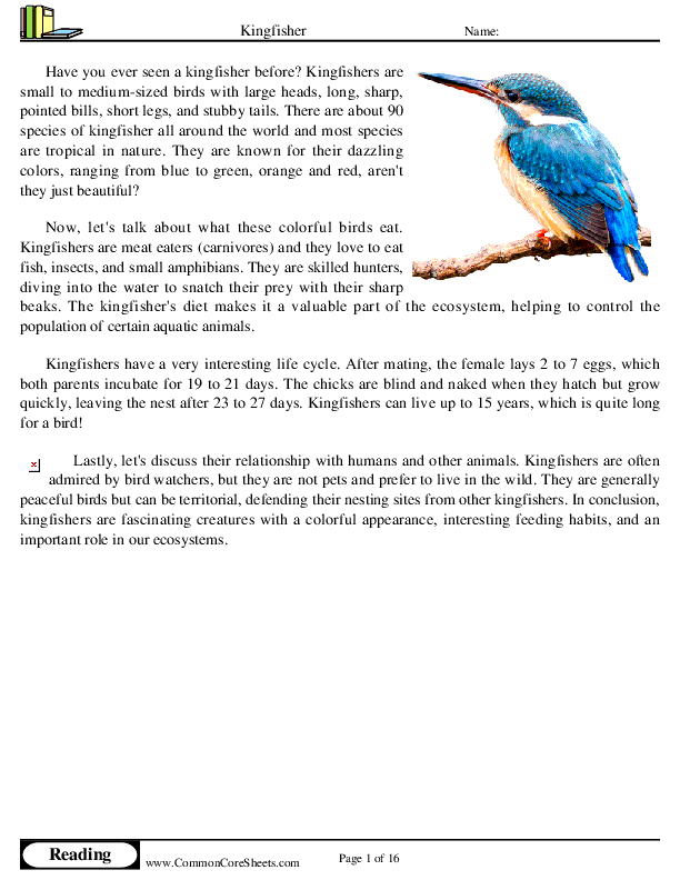  - kingfisher worksheet