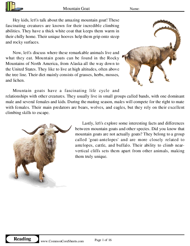  - mountain-goat worksheet