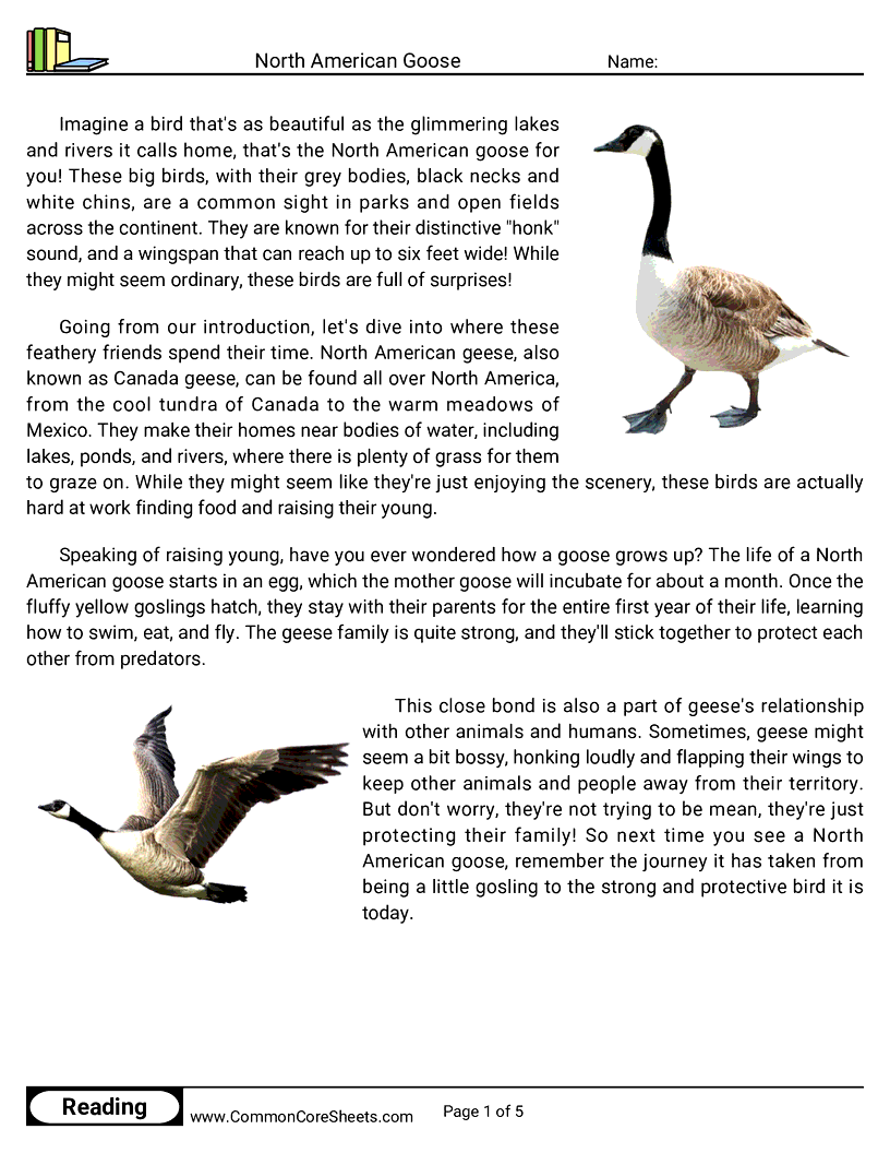 Reading Comprehension Birds Worksheets - north-american-goose worksheet