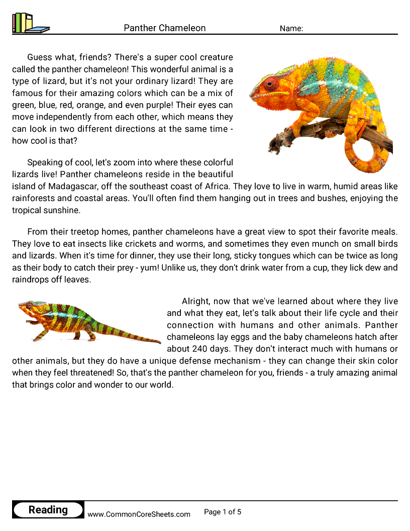  - panther-chameleon worksheet