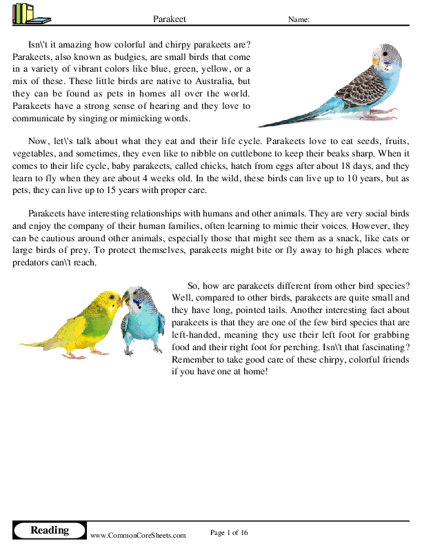  - parakeet worksheet