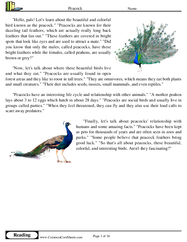  - peacock worksheet