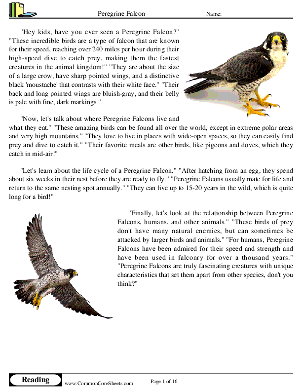  - peregrine-falcon worksheet