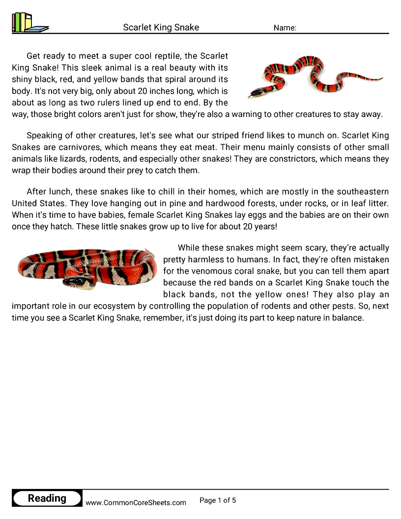  - scarlet-king-snake worksheet