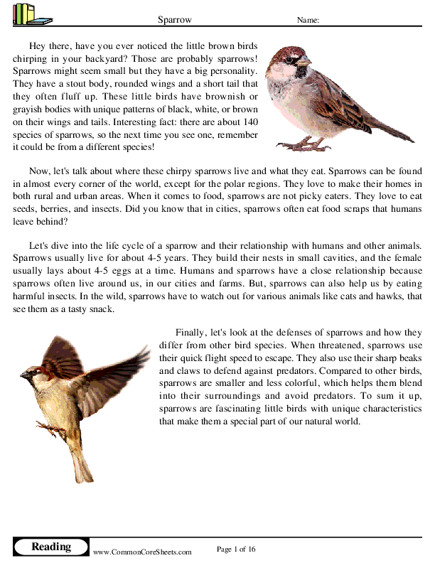  - sparrow worksheet