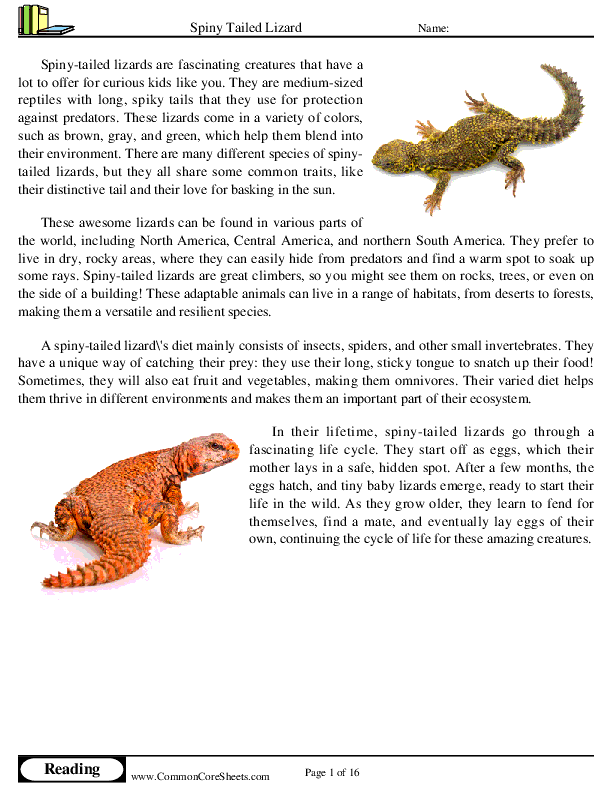  - spiny-tailed-lizard worksheet