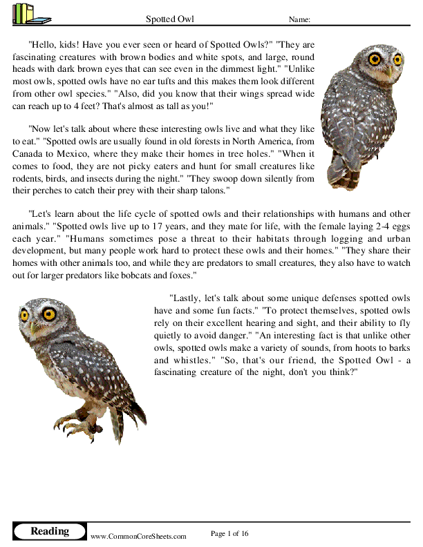  - spotted-owl worksheet