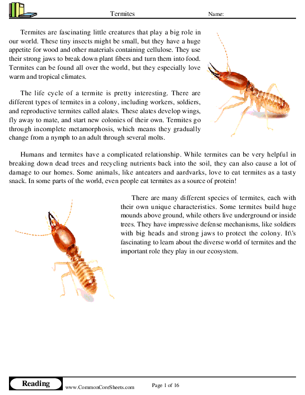  - termites worksheet