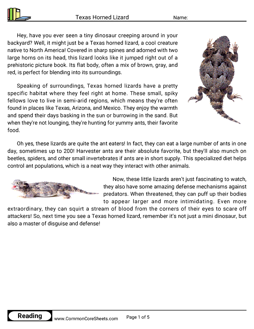  - texas-horned-lizard worksheet