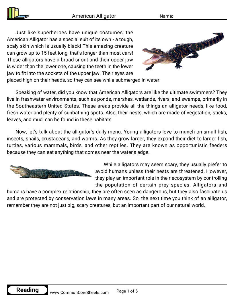 - american-alligator worksheet