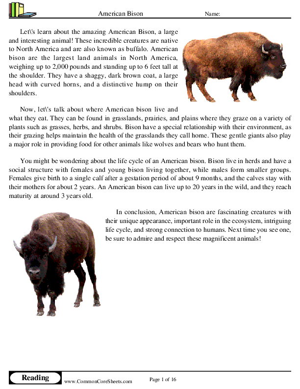  - american-bison worksheet