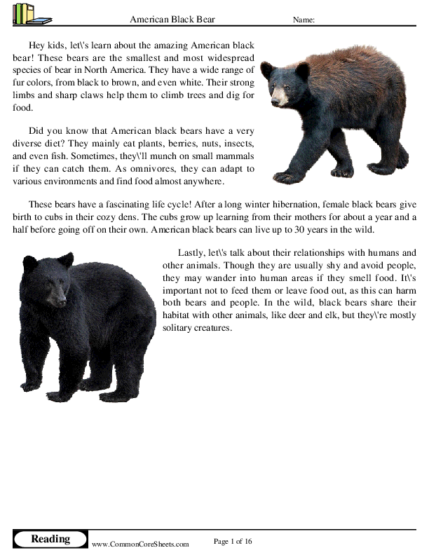  - american-black-bear worksheet