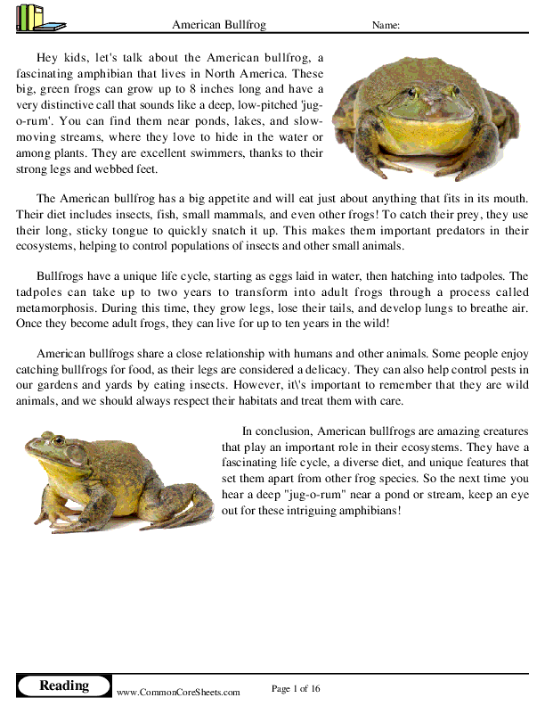  - american-bullfrog worksheet