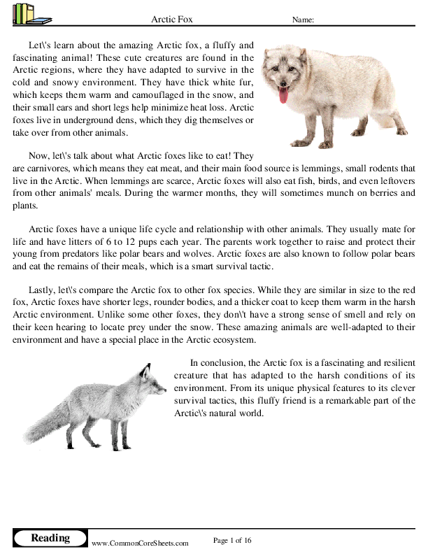  - arctic-fox worksheet