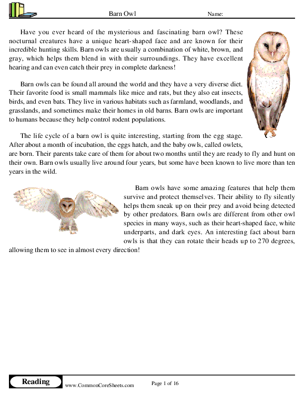  - barn-owl worksheet