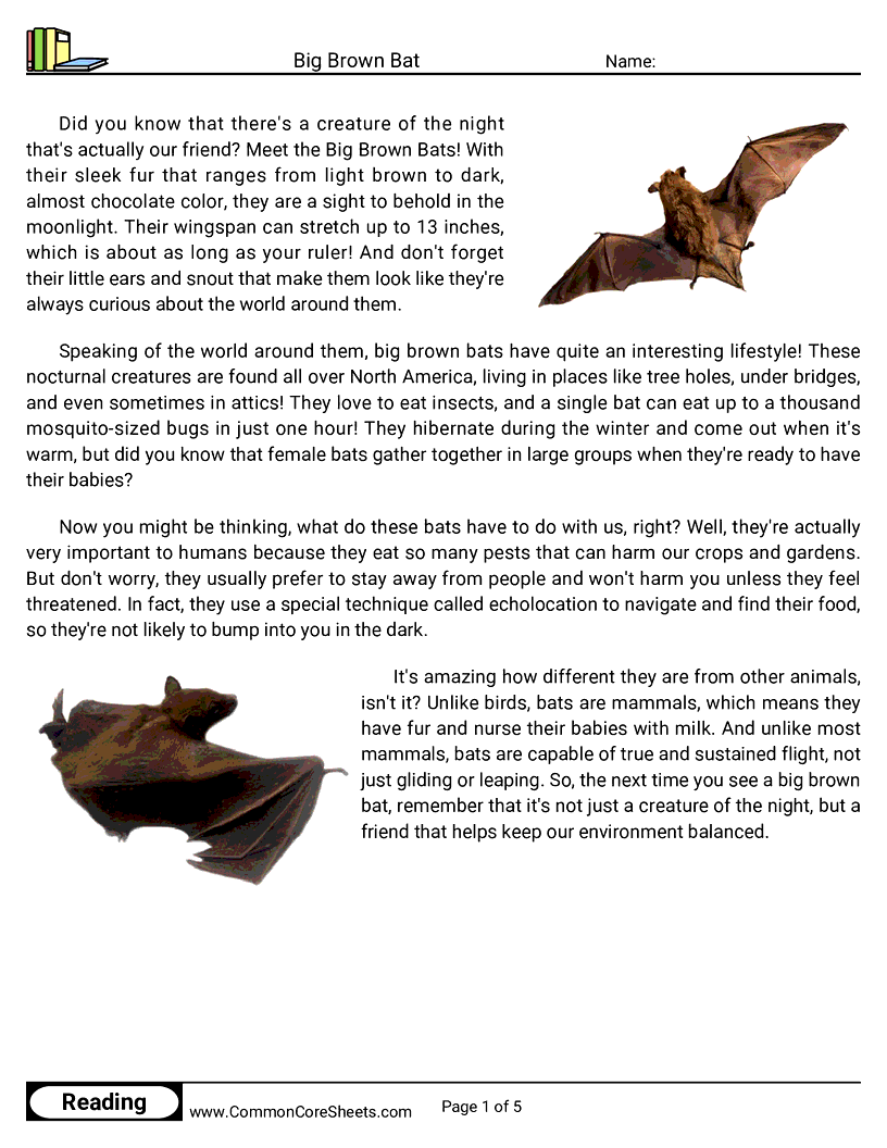 Reading Comprehension Mammals - big-brown-bat worksheet