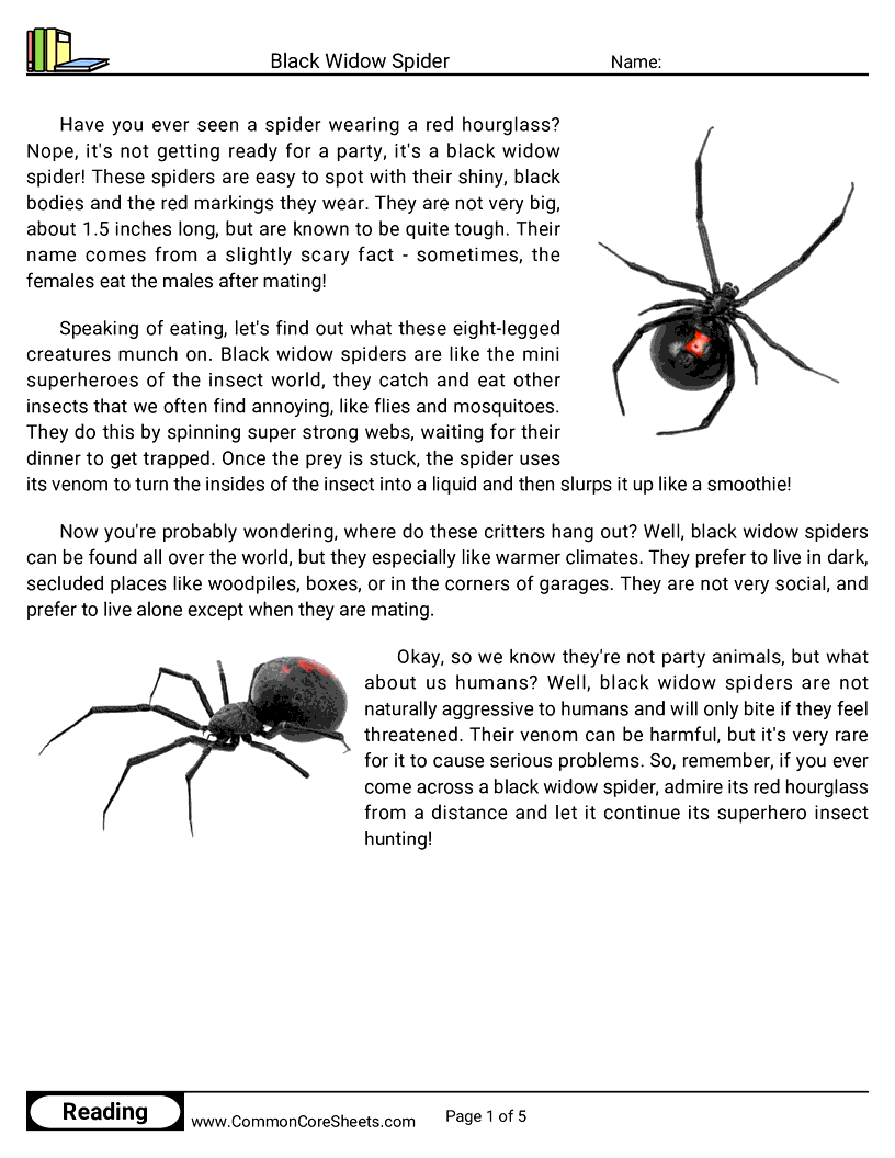 insects Worksheets - black-widow-spider worksheet
