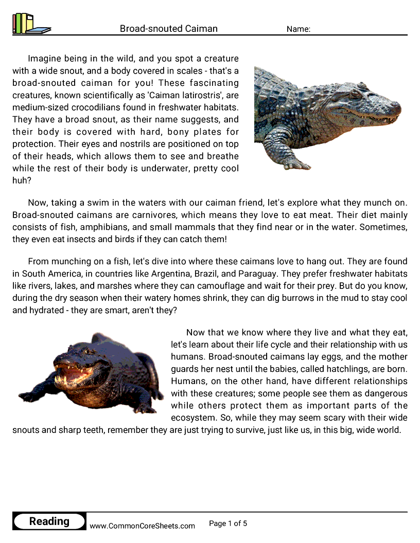  - broad-snouted-caiman worksheet