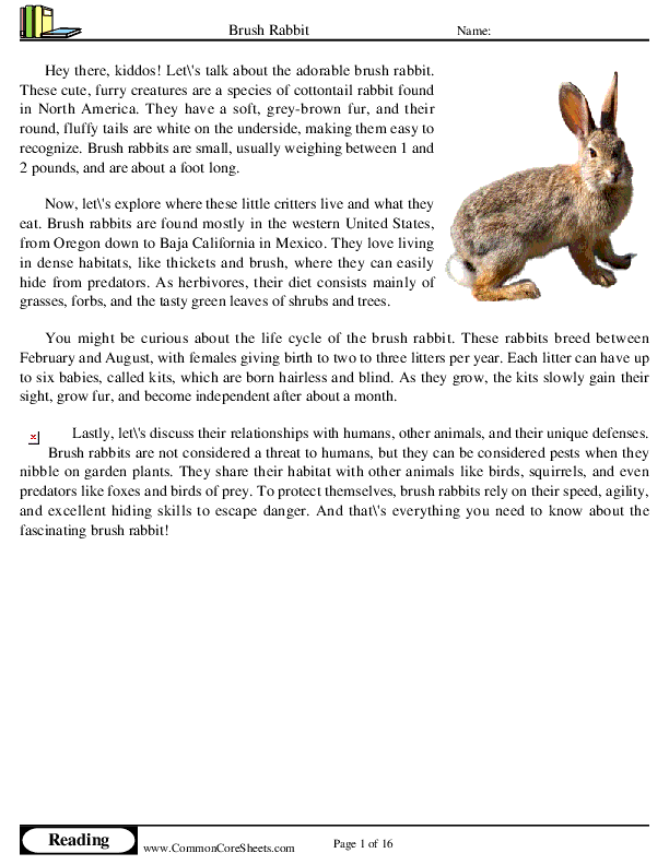  - brush-rabbit worksheet