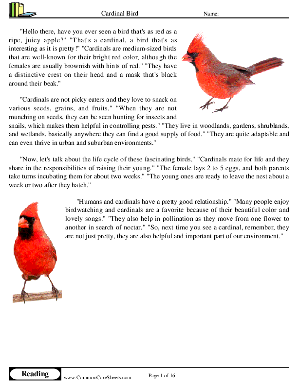  - cardinal-bird worksheet