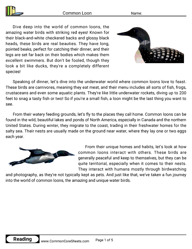 Reading Comprehension Birds Worksheets - common-loon worksheet
