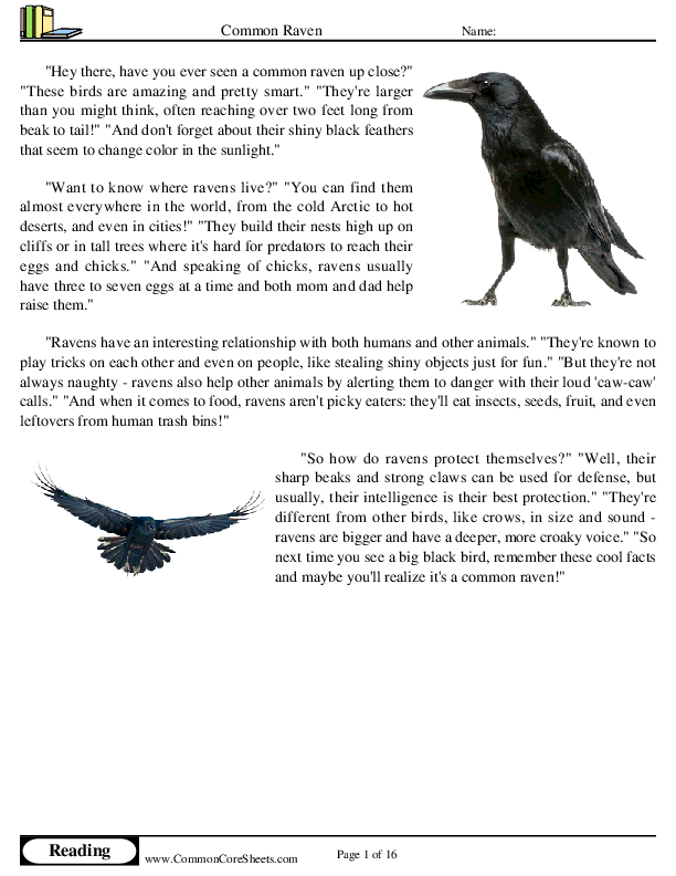 - common-raven worksheet