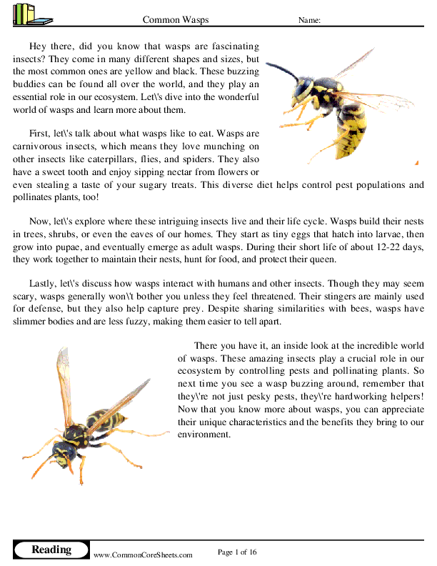 - common-wasps worksheet