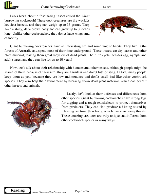  - giant-burrowing-cockroach worksheet