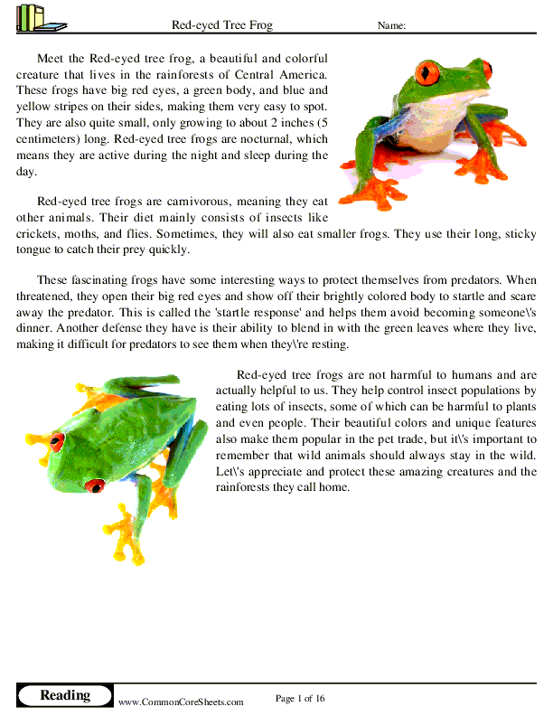  - red-eyed-tree-frog worksheet
