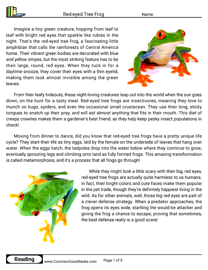  - red-eyed-tree-frog worksheet