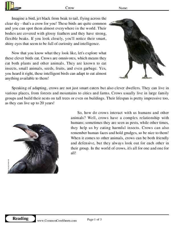  - crow worksheet